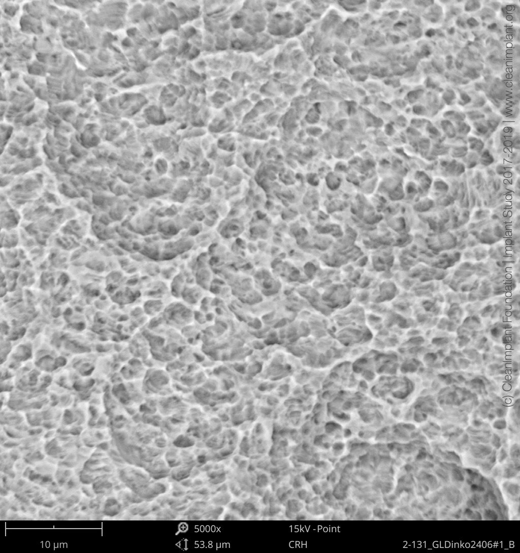 Clean Implant Foundation passe au crible l’implant dentaire In-Kone®