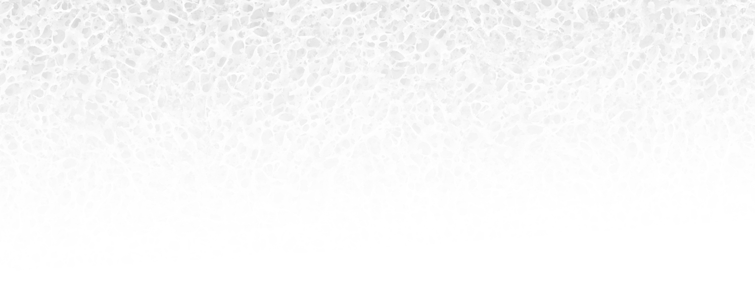 Image non disponible